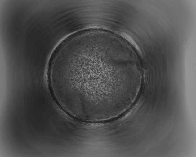 X0000093171068200710101208