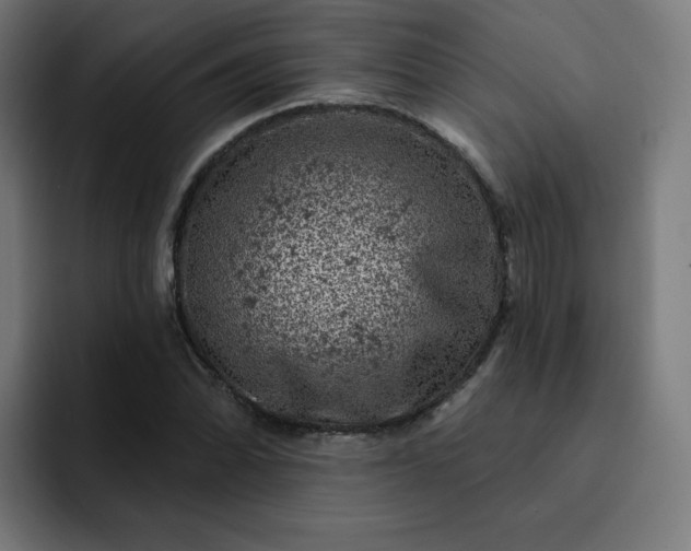 X0000093171070200710101208