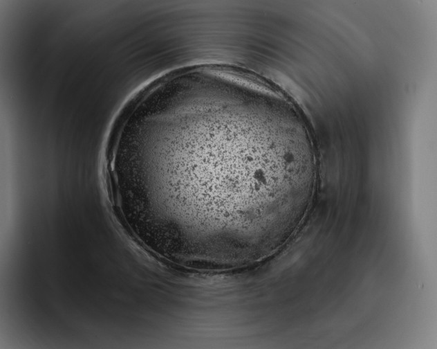 X0000093171072200710101208