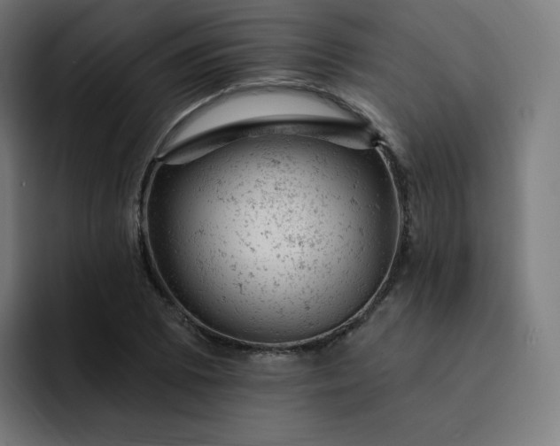 X0000093171073200710101208