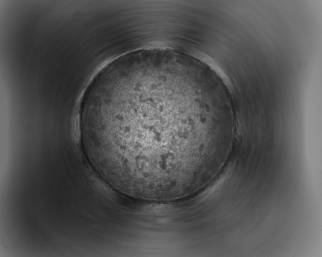 X0000093171075200710101208