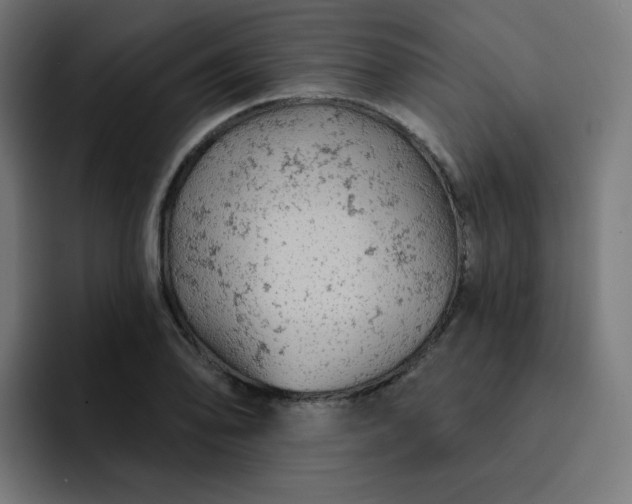 X0000093171078200710101208