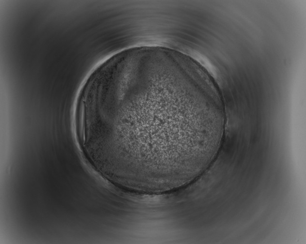 X0000093171080200710101208