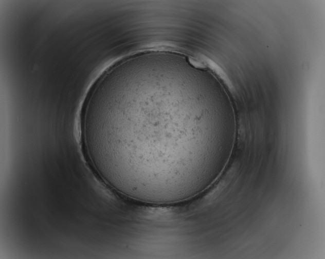 X0000093171082200710101208