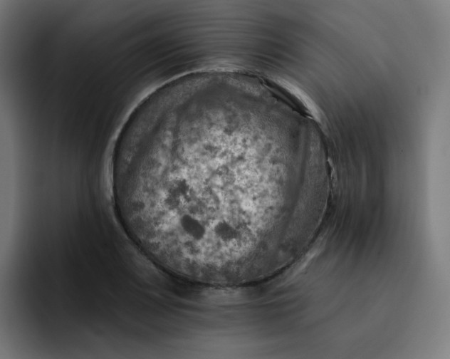 X0000093171083200710101208