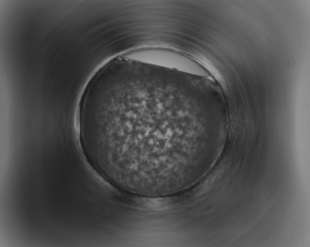 X0000093171084200710101208