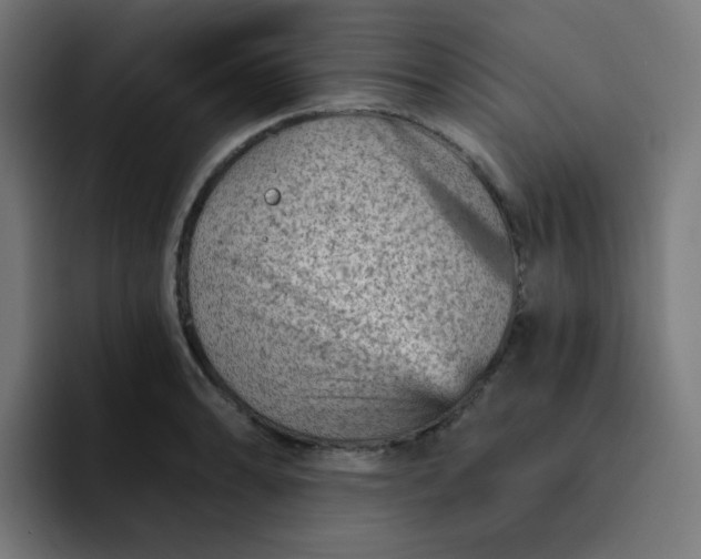 X0000093171086200710101208
