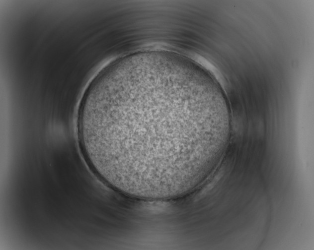 X0000093171090200710101208