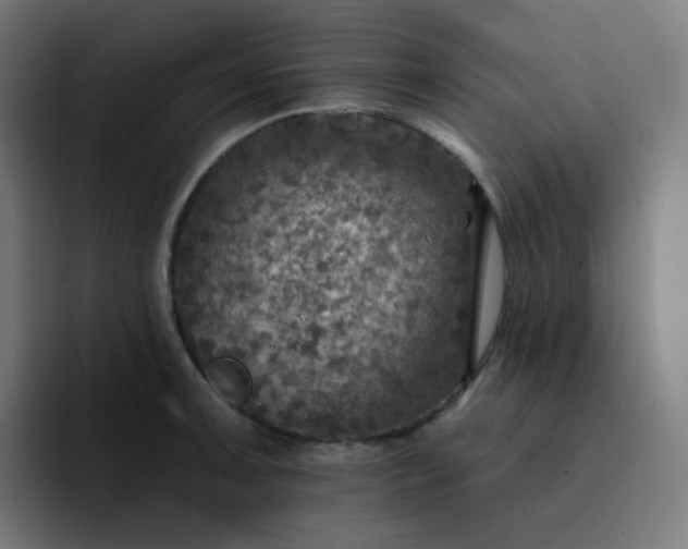 X0000093171091200710101208