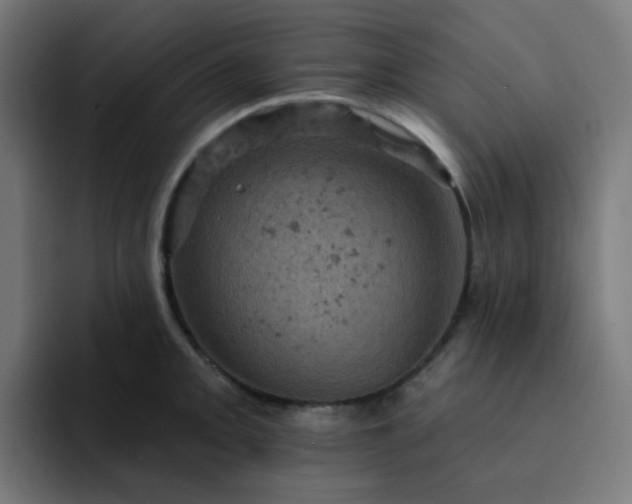 X0000093171093200710101208
