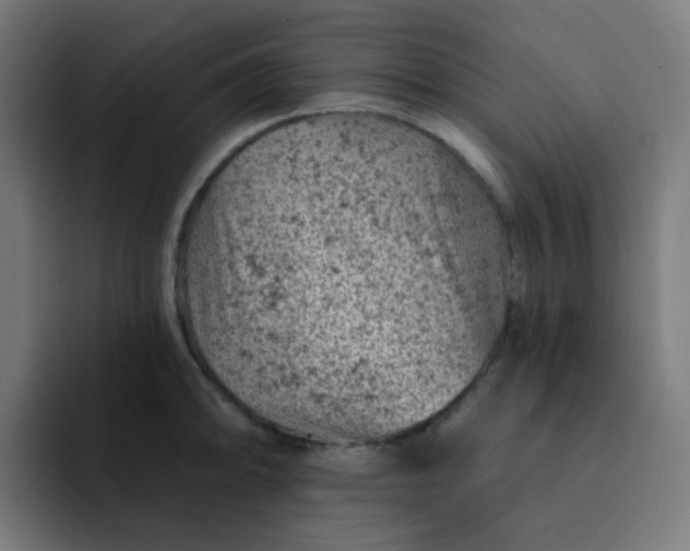 X0000093171094200710101208