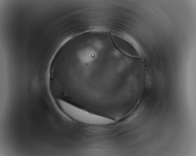 X0000093171095200710101208