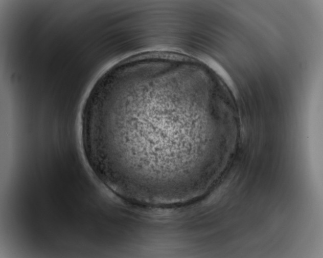 X0000093171096200710101208