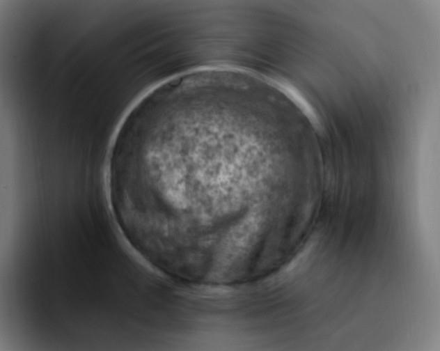X0000093171100200710101208