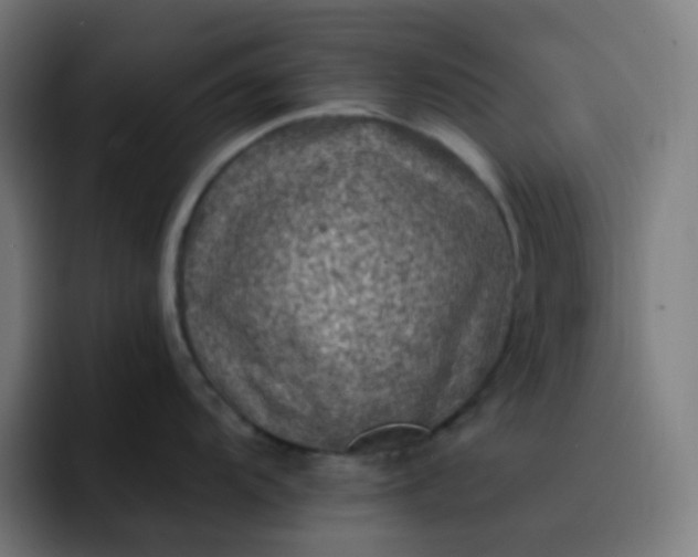 X0000093171104200710101208