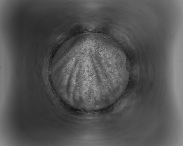 X0000093171105200710101207