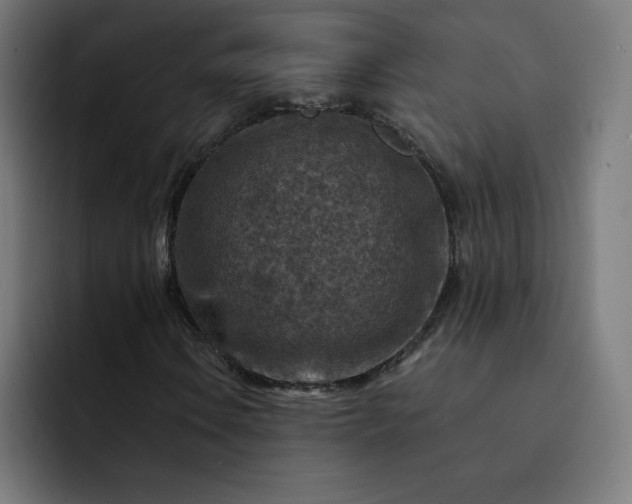 X0000093171106200710101207