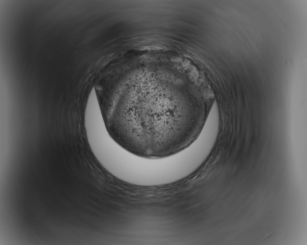 X0000093171108200710101207