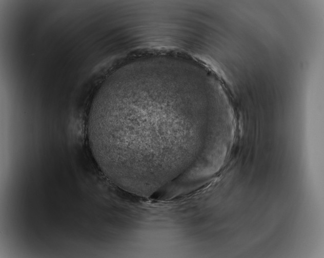 X0000093171110200710101207