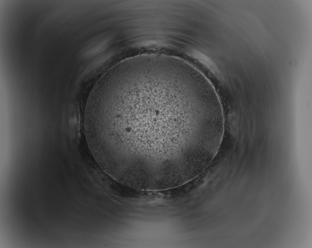X0000093171111200710101207