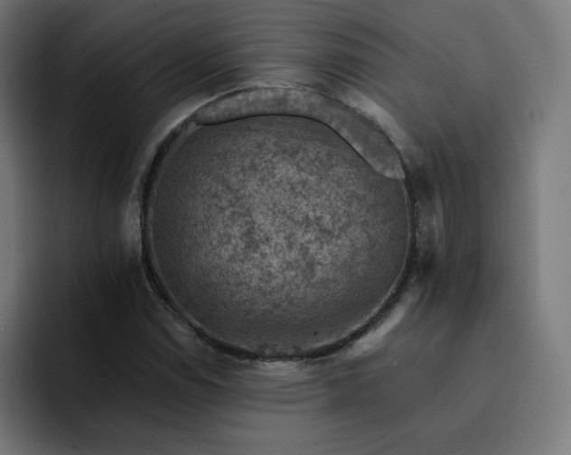 X0000093171114200710101207