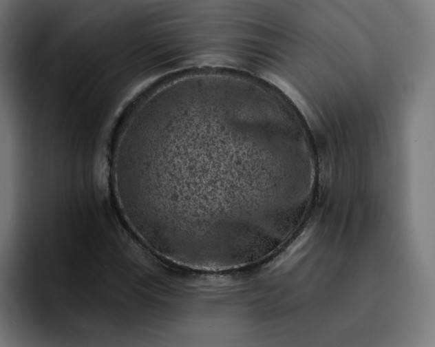 X0000093171115200710101207