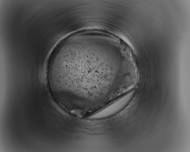 X0000093171116200710101207