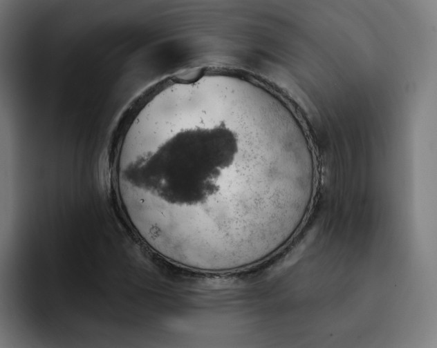 X0000093171117200710101207