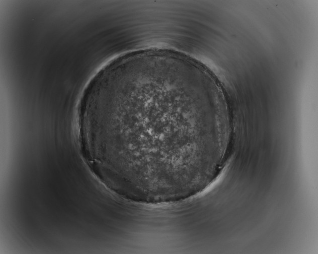 X0000093171118200710101207