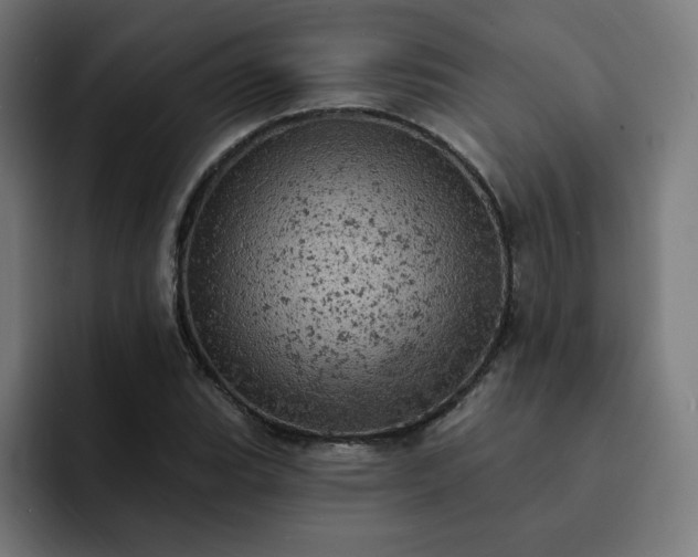 X0000093171119200710101207