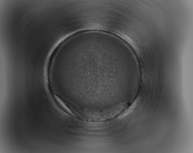 X0000093171120200710101207