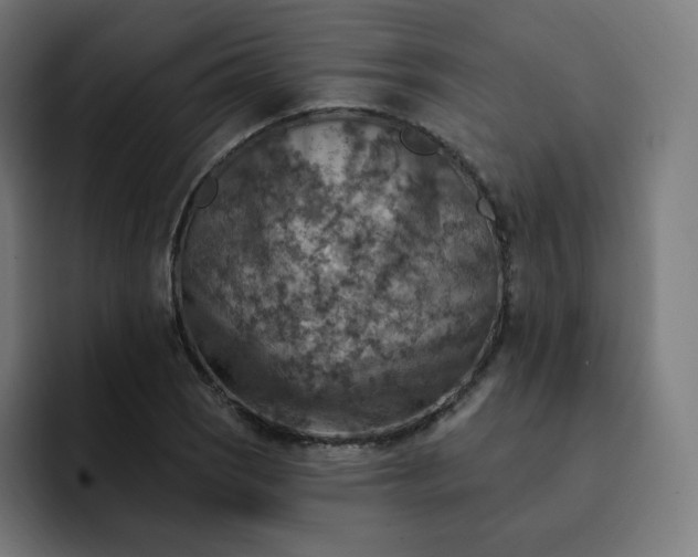 X0000093171121200710101207