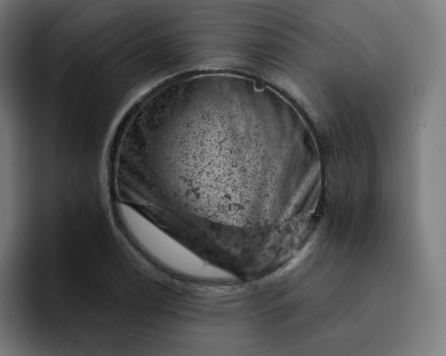 X0000093171122200710101207