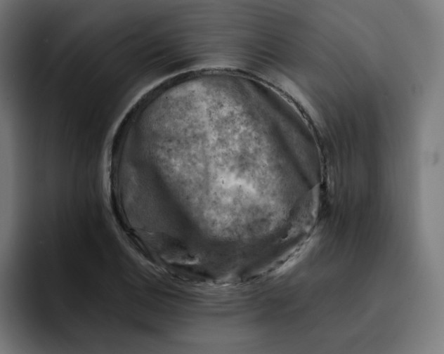 X0000093171124200710101207