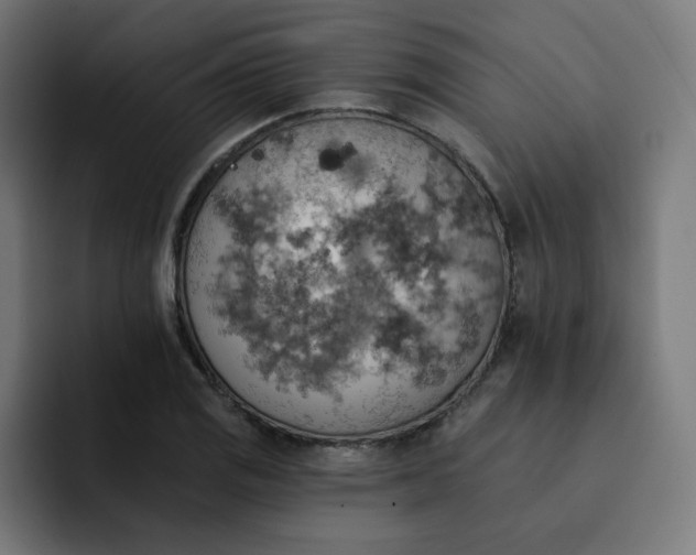 X0000093171125200710101207