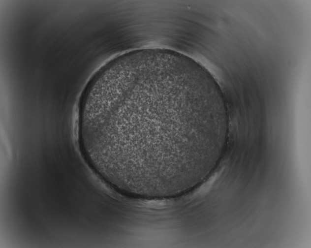 X0000093171126200710101207
