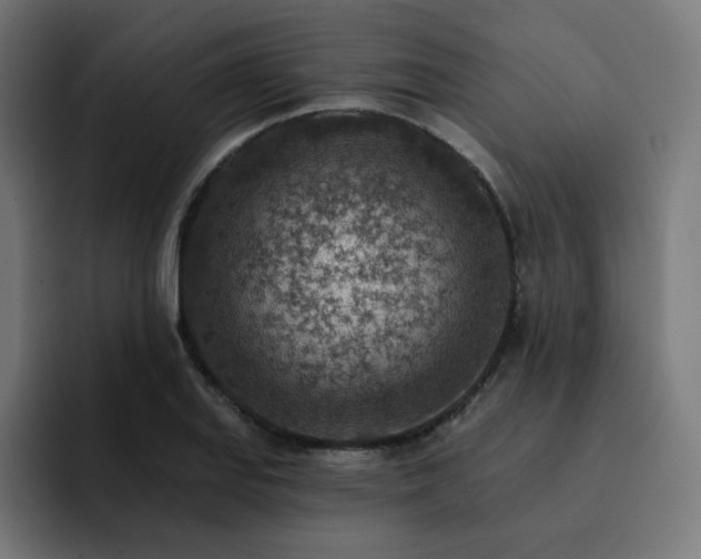 X0000093171127200710101207