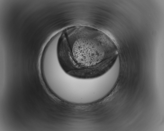 X0000093171128200710101207