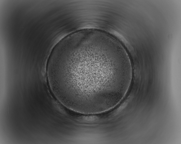 X0000093171129200710101207