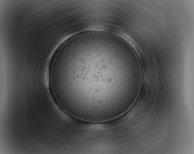 X0000093171131200710101207