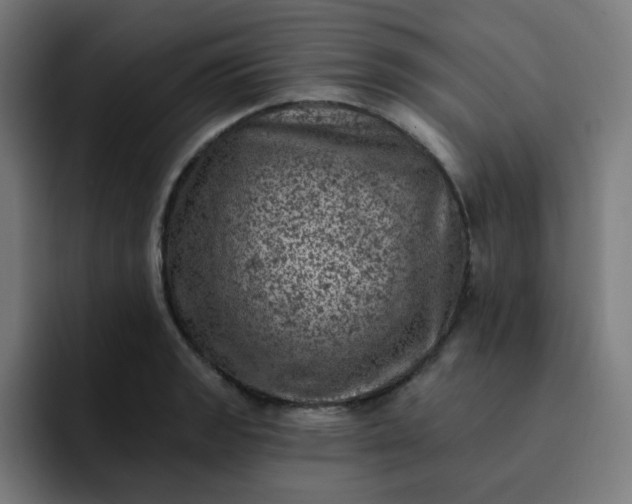X0000093171133200710101207