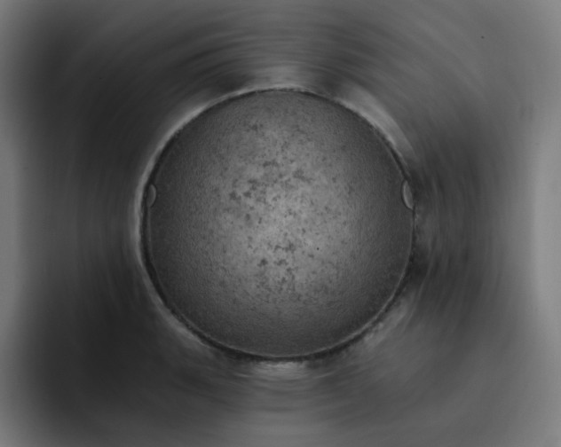 X0000093171135200710101207