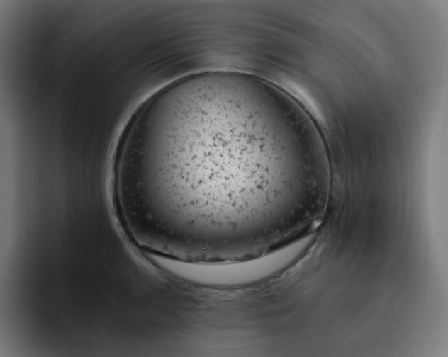 X0000093171136200710101207