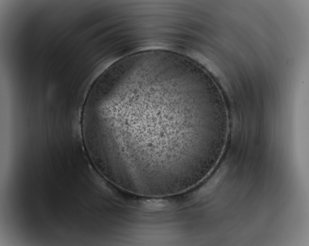 X0000093171137200710101207