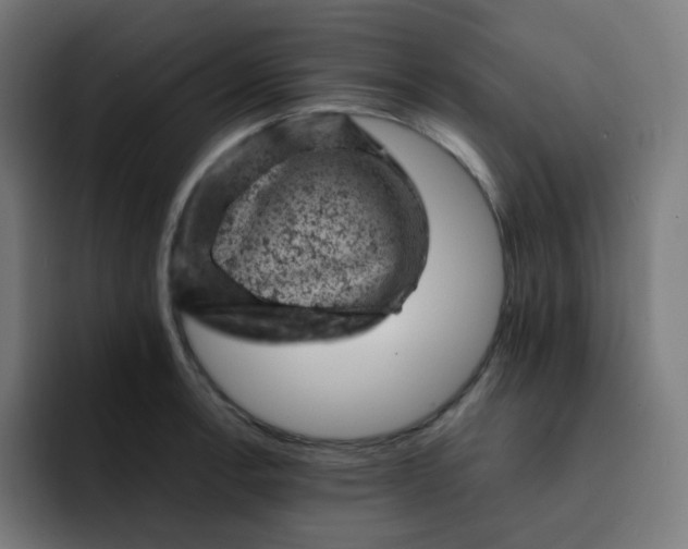 X0000093171138200710101207