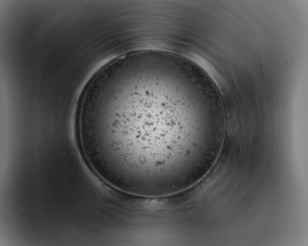X0000093171139200710101207
