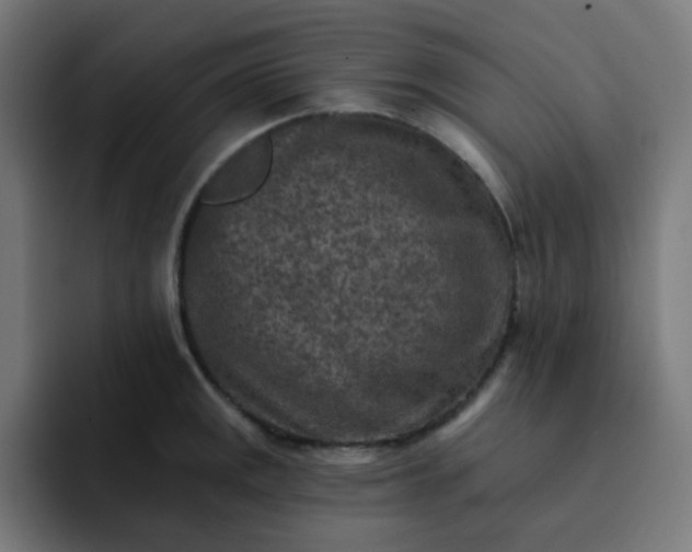 X0000093171141200710101207