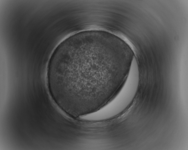 X0000093171142200710101207