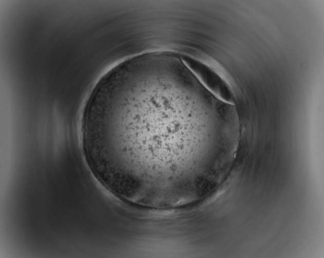 X0000093171143200710101207