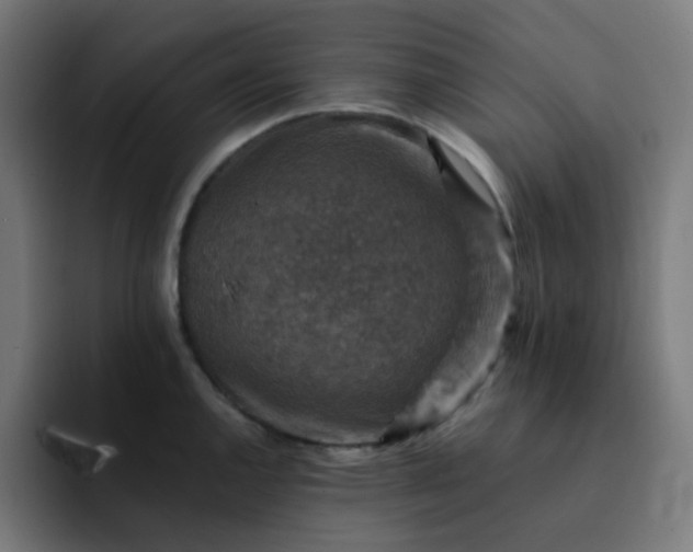 X0000093171144200710101207